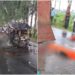 Patna Road Accident