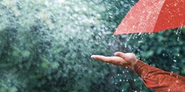 Rain Water