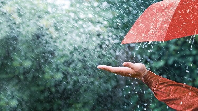 Rain Water