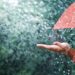 Rain Water