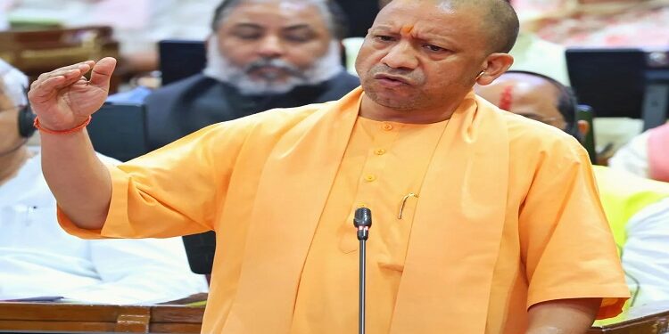 cm yogi