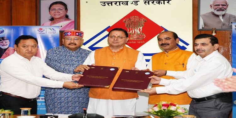 CM Dhami