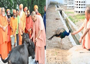 CM Yogi pampered Bhavani-Bholu, fed jaggery to Punj
