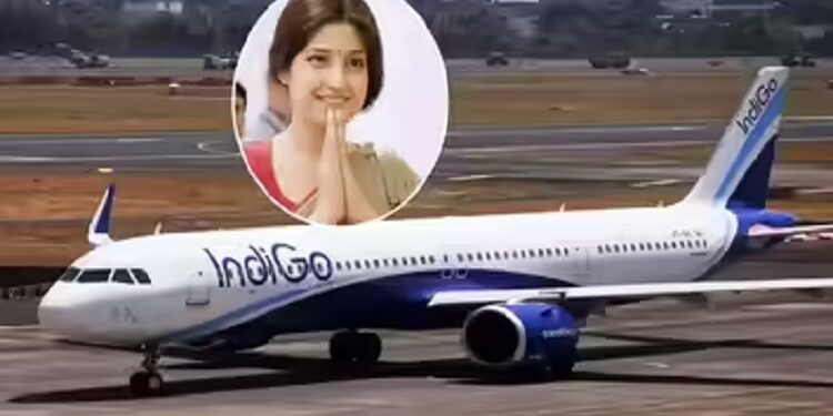 Indigo's plane could not take off from Lucknow airport