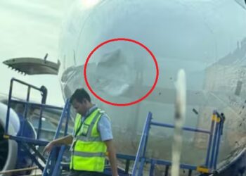 Bird collides with Indigo plane