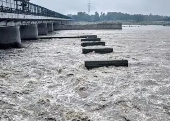 Terror due to the terrible form of Yamuna