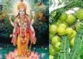 Akshaya Navami