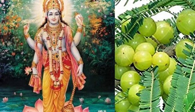Akshaya Navami