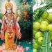 Akshaya Navami