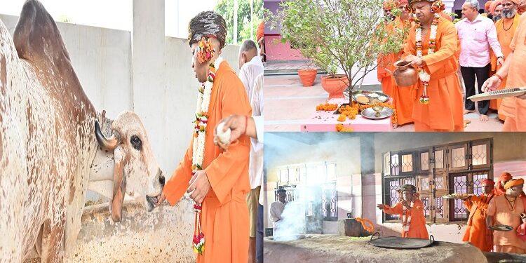 CM Yogi did cow service by worshipping cows on Vijayadashami.