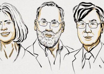 Mary E. Brunko, Fred Ramsdell and Shimol Sakaguji to receive Nobel Prize