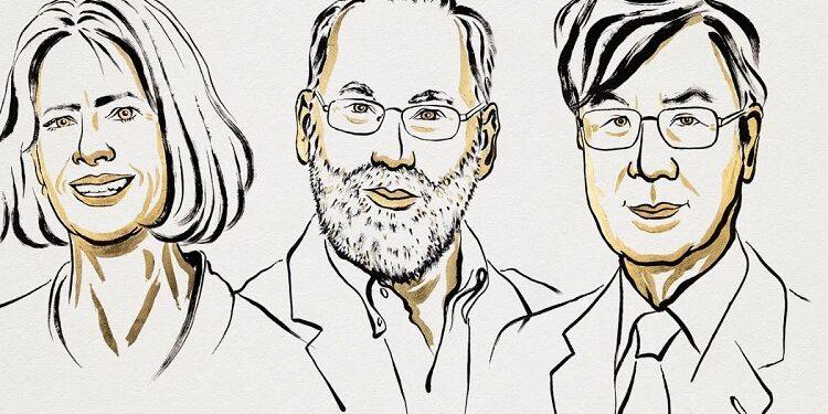 Mary E. Brunko, Fred Ramsdell and Shimol Sakaguji to receive Nobel Prize
