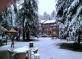 Snowfall