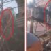 A contract lineman died after being electrocuted.