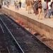 6 killed after being hit by Kalka Express