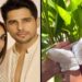 Kiara & Sidharth