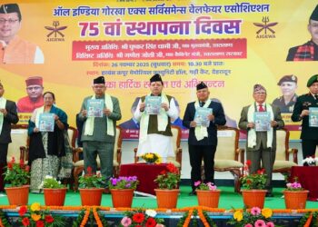 CM Dhami