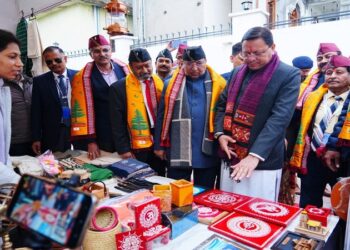 CM Dhami