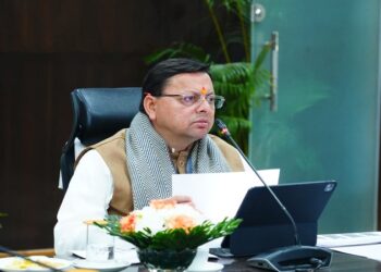 CM Dhami
