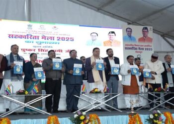 CM Dhami