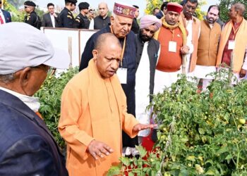 Innovation is increasing farmers' prosperity