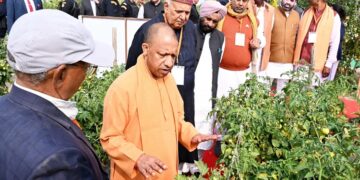 Innovation is increasing farmers' prosperity