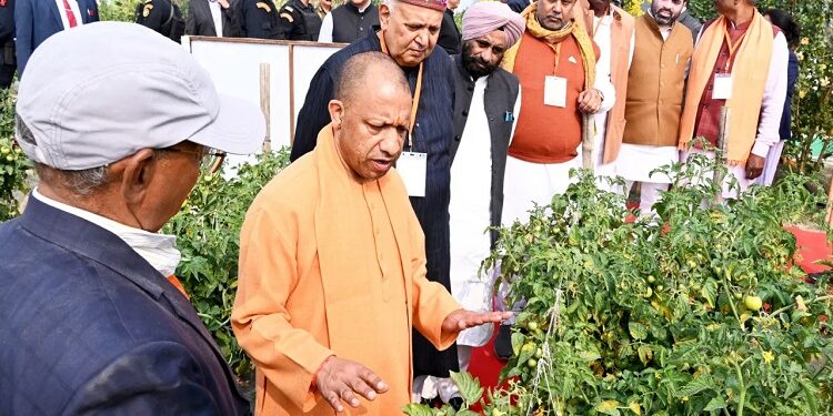 Innovation is increasing farmers' prosperity