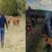 A coronavirus-like disease is spreading among cows in France.