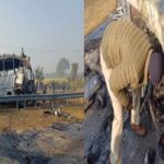 13 deaths so far in Mathura accident