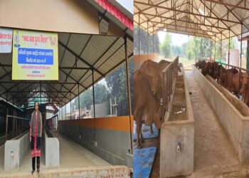 Nandini Krishak Samriddhi Yojana