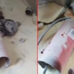 Fire extinguisher explodes in North East Express train