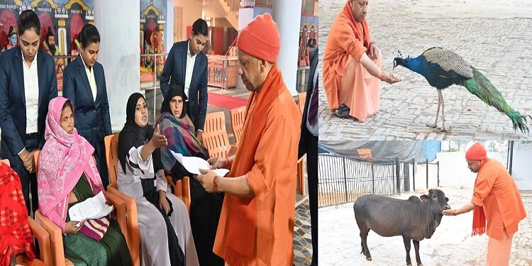 CM Yogi listened to the problems of 200 people.