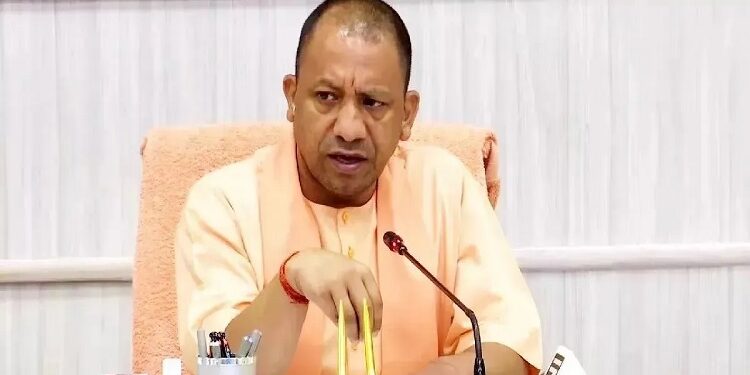 cm yogi