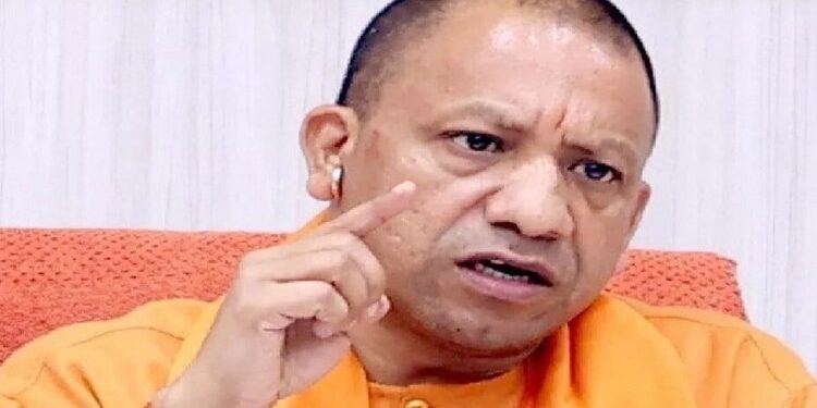 cm yogi