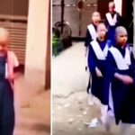 The entire school shaved their heads for a student suffering from cancer.