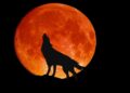 Wolf Moon