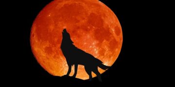 Wolf Moon