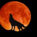 Wolf Moon
