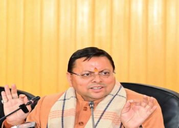 cm dhami