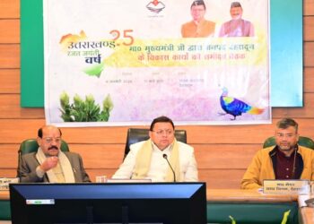 cm dhami