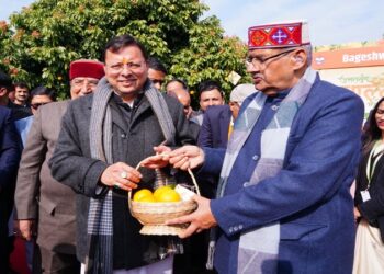 cm dhami