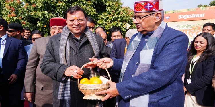 cm dhami