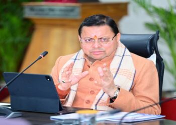 CM Dhami