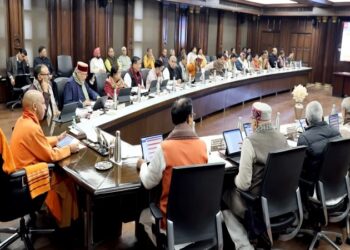 Yogi Cabinet