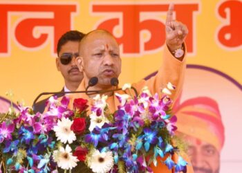 cm yogi