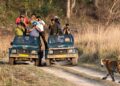 corbett tiger reserve