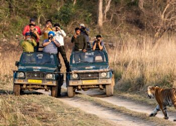 corbett tiger reserve