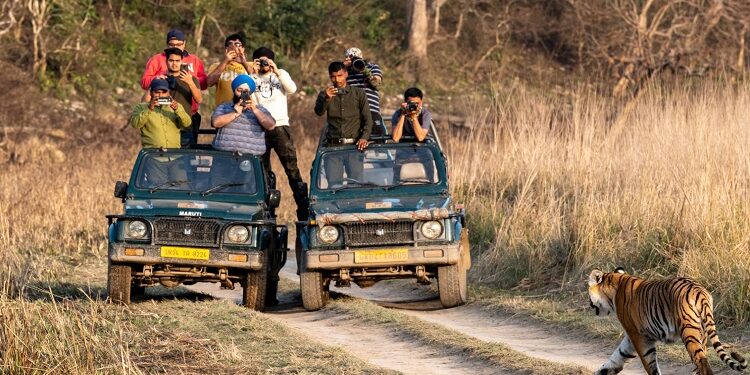 corbett tiger reserve