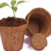 cow dung pot