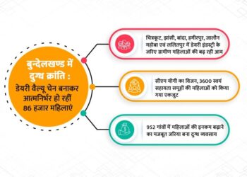 dairy value chain